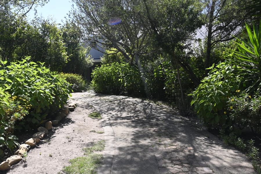 To Let 5 Bedroom Property for Rent in Rheenendal Western Cape